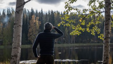 مهاجرت به فنلاند